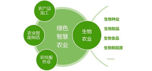 县域经济背景下国家级农业高新区的发展模式 以教育软硬件研发为驱动